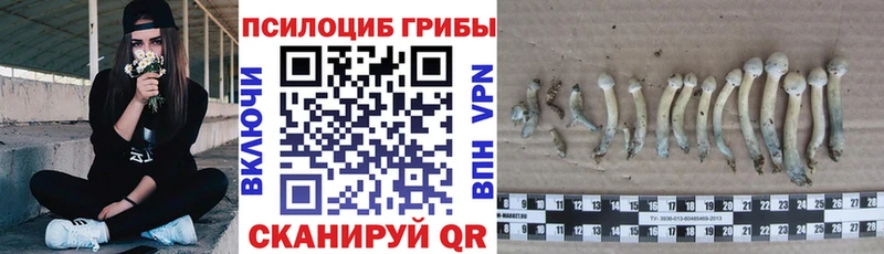 Галлюциногенные грибы мицелий  Купить закладки  Чусовой 